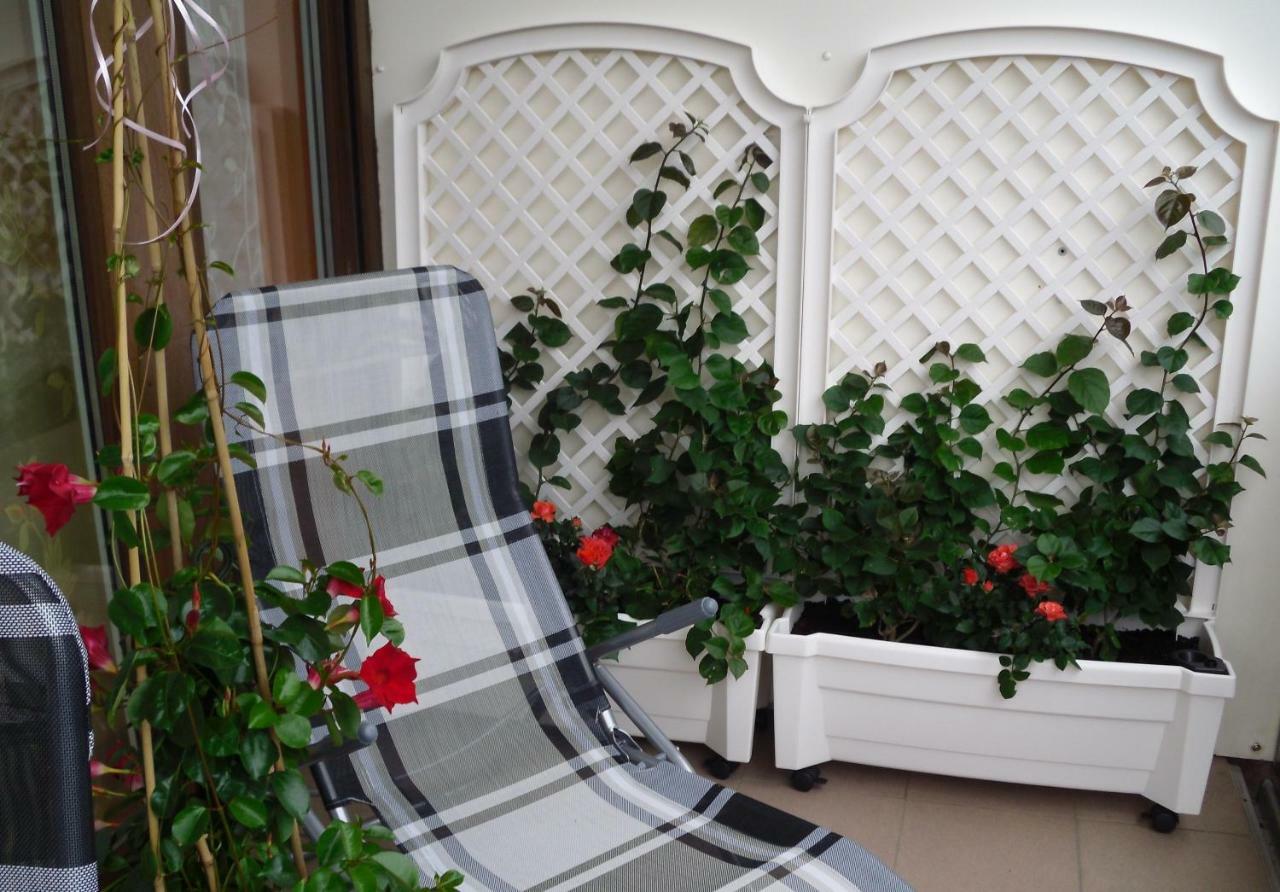 Ferienwohnung Rothe Dippoldiswalde Esterno foto