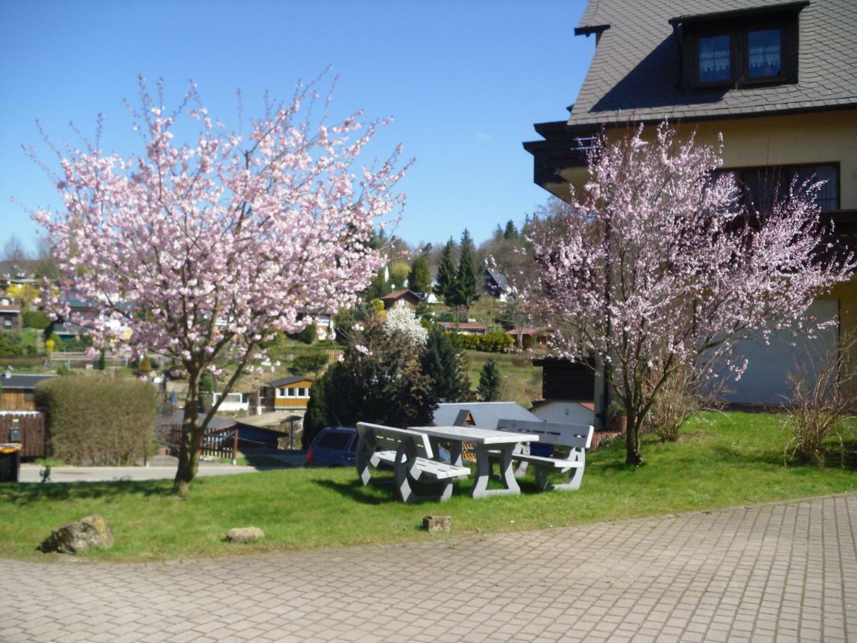 Ferienwohnung Rothe Dippoldiswalde Esterno foto